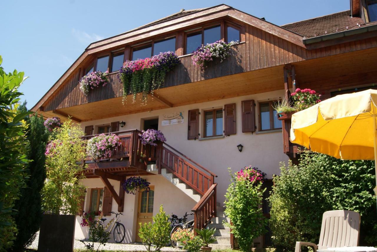 B&B Le Sourire Du Lac 세브리에 외부 사진